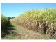 Meadowvale QLD 4670
