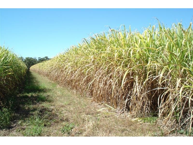 Meadowvale QLD 4670