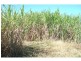 Meadowvale QLD 4670