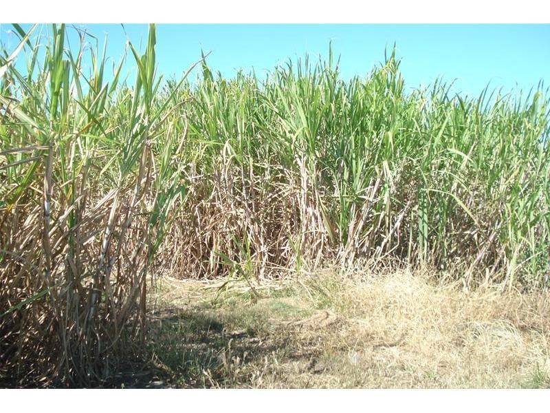 Meadowvale QLD 4670