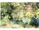 Meadowvale QLD 4670