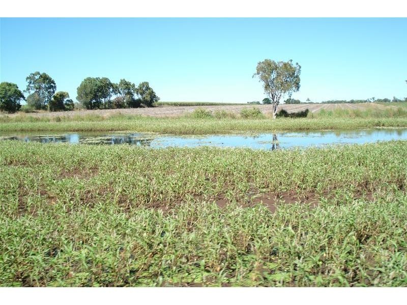 Meadowvale QLD 4670