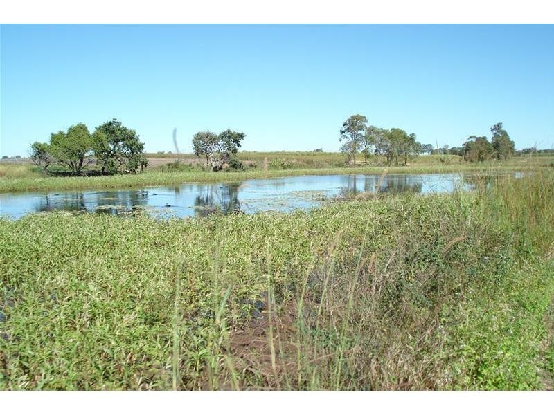 Meadowvale QLD 4670