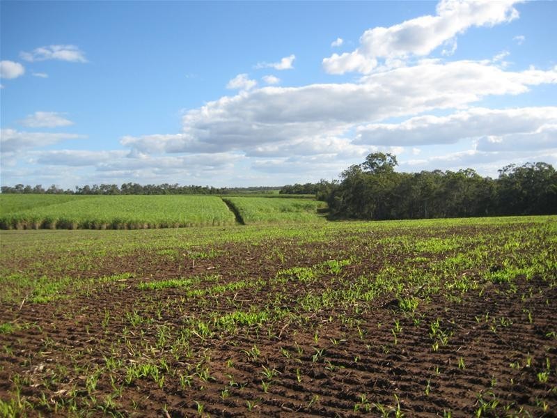 South Kolan QLD 4670