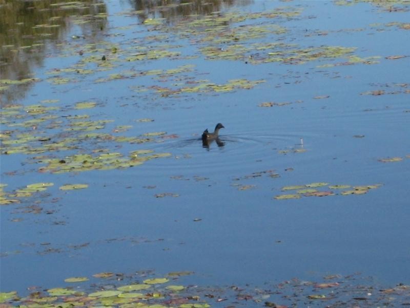 South Kolan QLD 4670