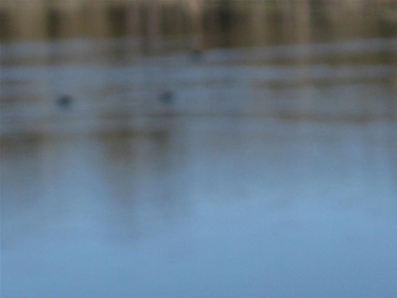 South Kolan QLD 4670