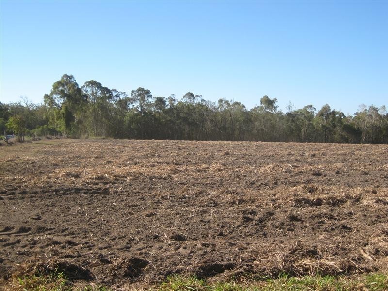 South Kolan QLD 4670