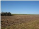 South Kolan QLD 4670