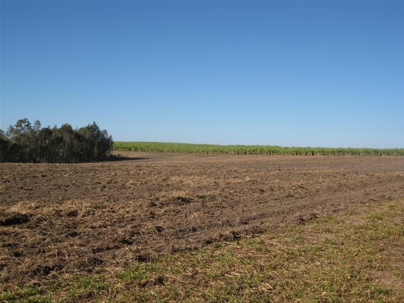 South Kolan QLD 4670