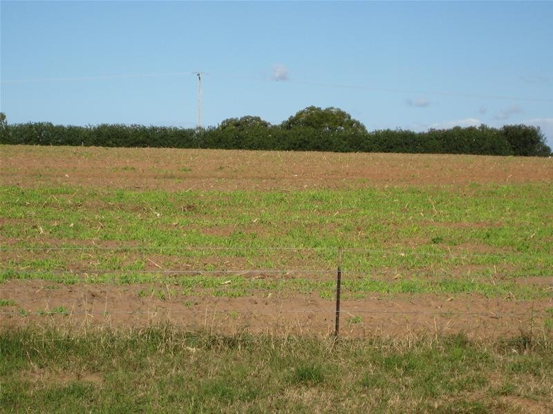 South Kolan QLD 4670