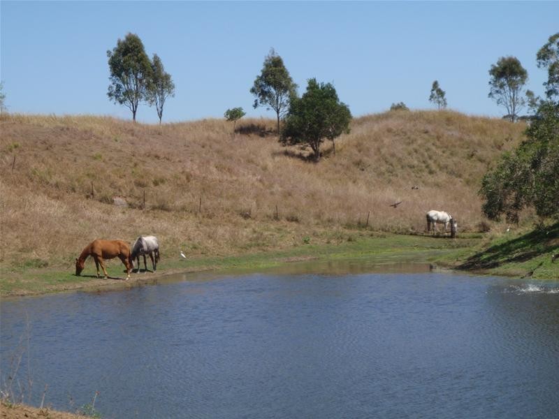 Electra QLD 4670