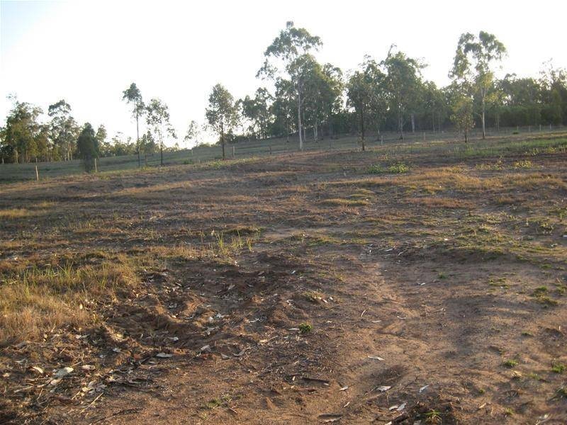 South Kolan QLD 4670