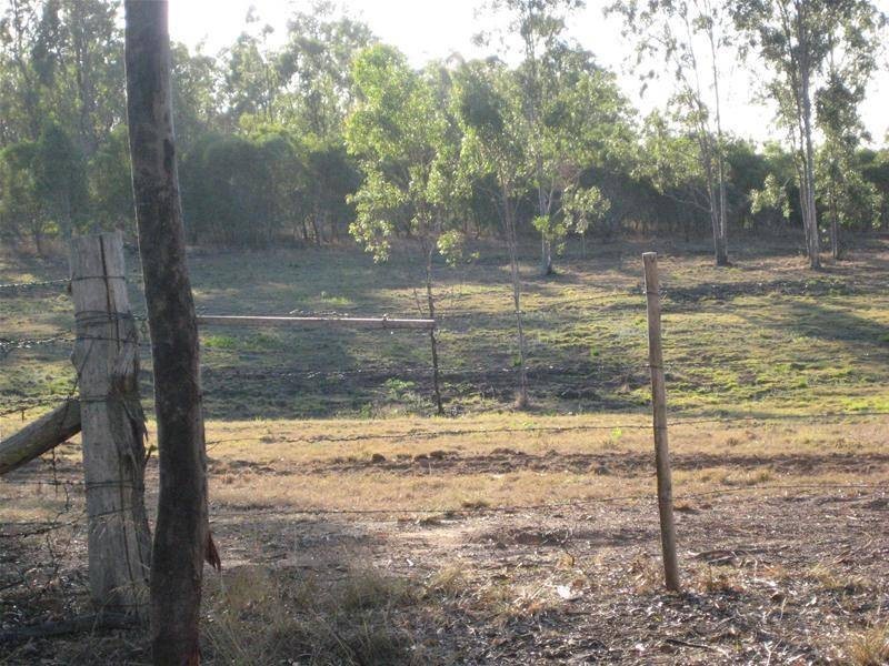 South Kolan QLD 4670