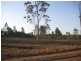 South Kolan QLD 4670