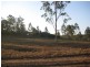 South Kolan QLD 4670