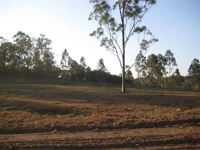 South Kolan QLD 4670