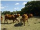 Moolboolaman QLD 4671