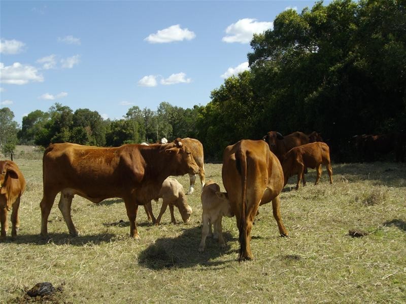 Moolboolaman QLD 4671