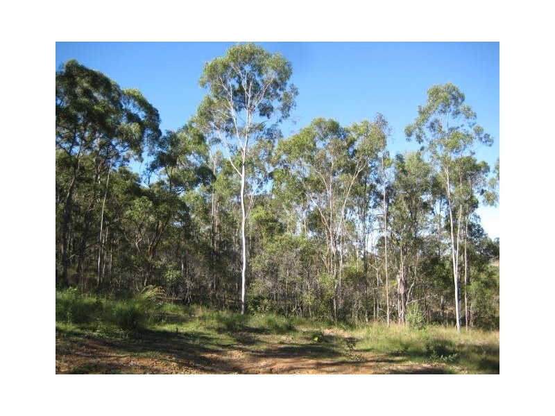 South Kolan QLD 4670