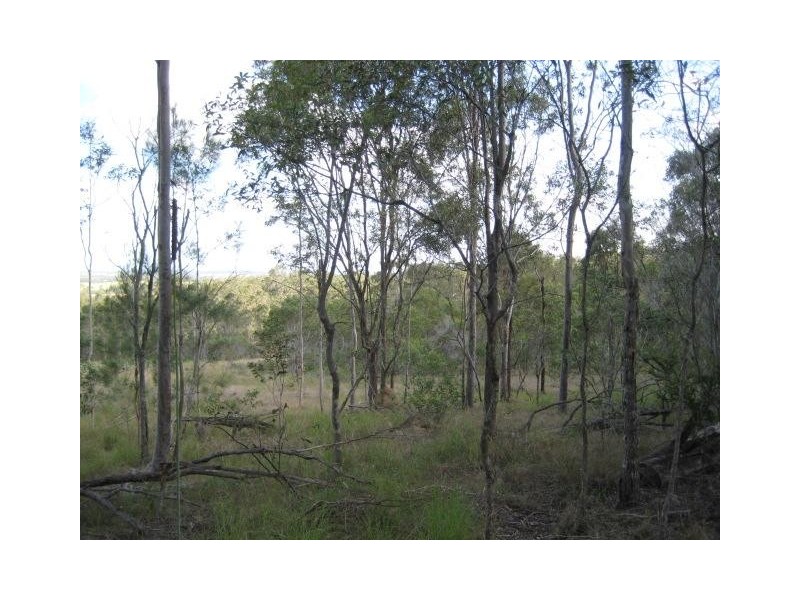 South Kolan QLD 4670