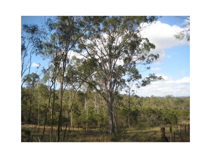 South Kolan QLD 4670