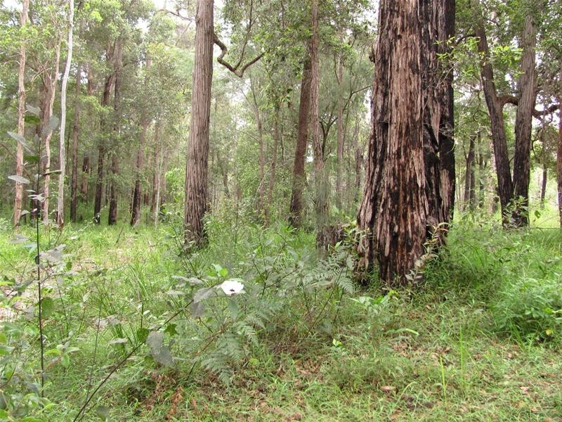 Mount Maria QLD 4674