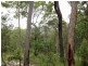 Mount Maria QLD 4674