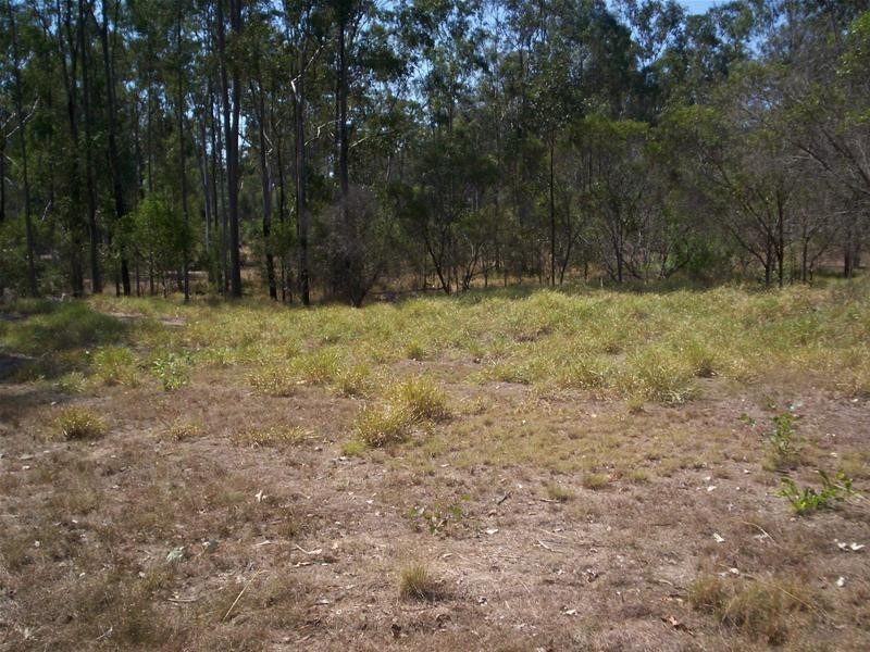 South Bingera QLD 4670