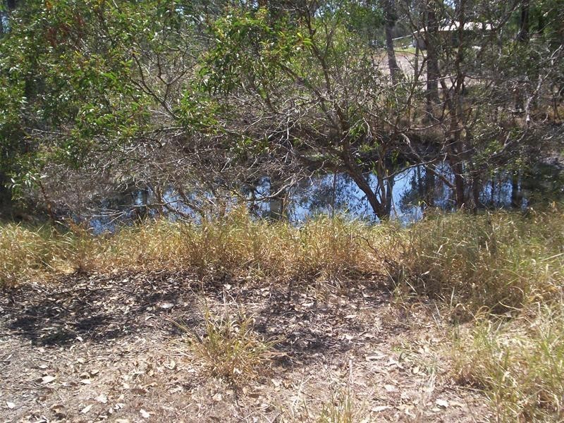 South Bingera QLD 4670