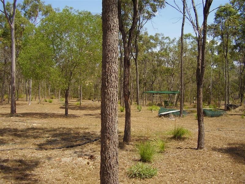 Mount Maria QLD 4674