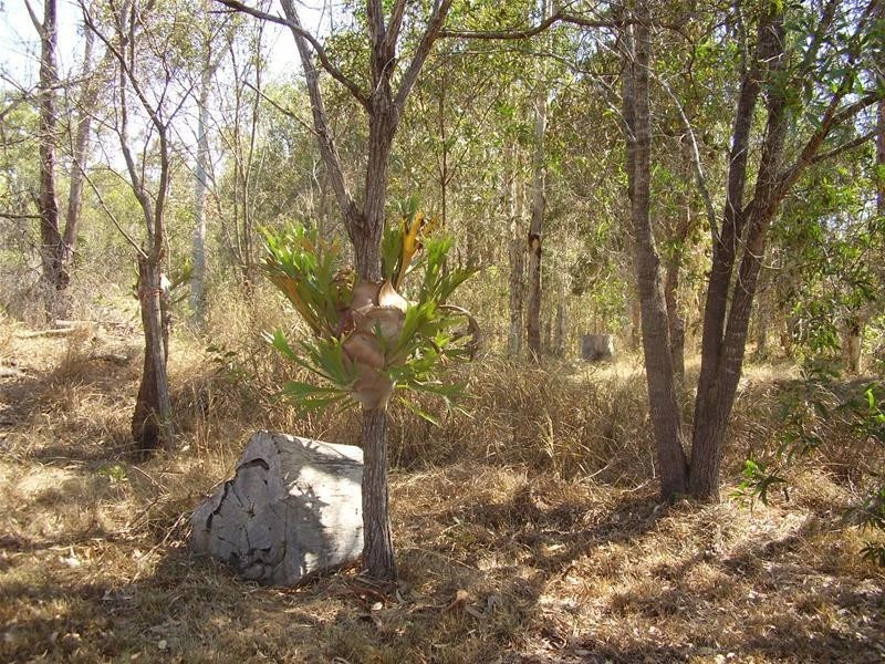 Mount Maria QLD 4674