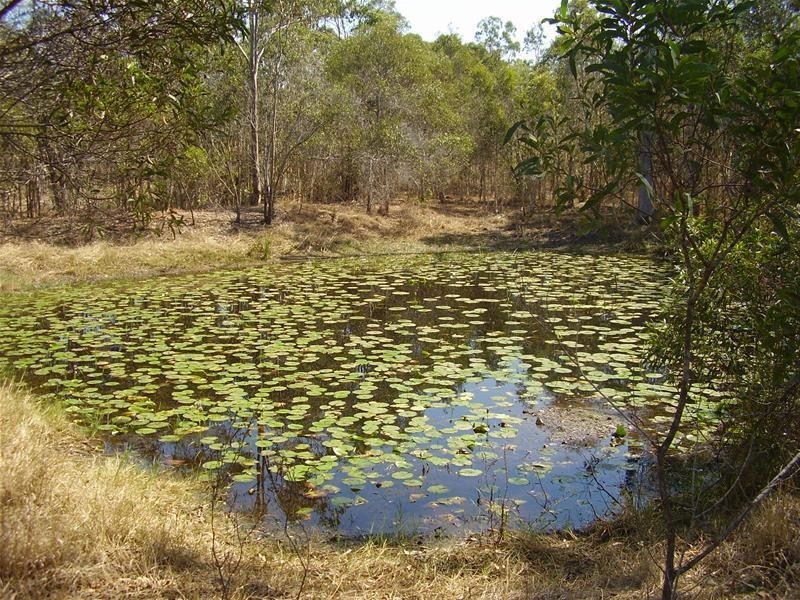 Mount Maria QLD 4674