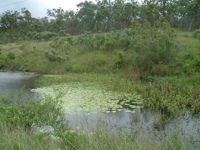 Baffle Creek QLD 4674