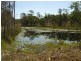 Waterloo QLD 4673