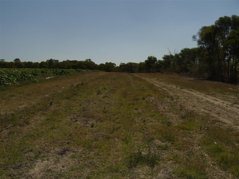 Waterloo QLD 4673