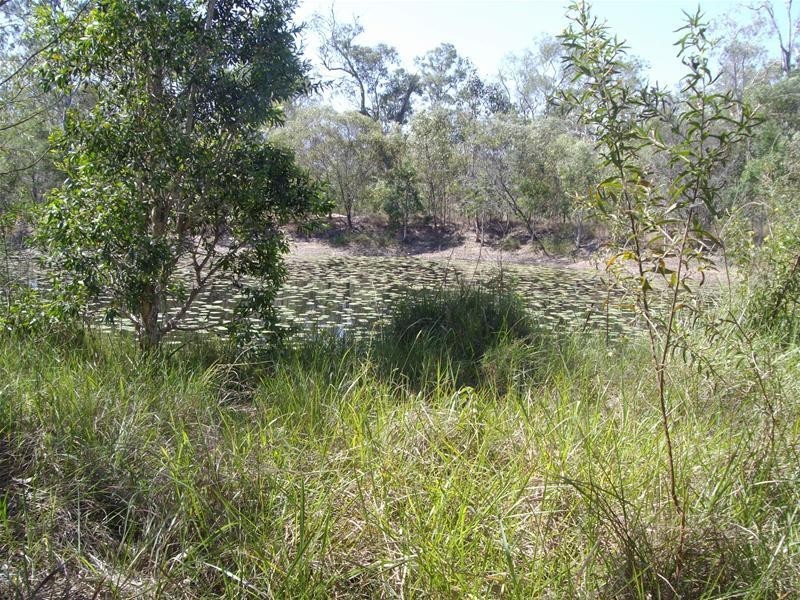 Waterloo QLD 4673