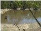 Waterloo QLD 4673