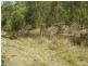 Waterloo QLD 4673