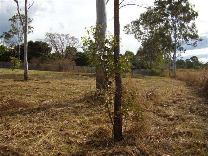 Lowmead QLD 4676