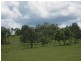 Wallaville QLD 4671