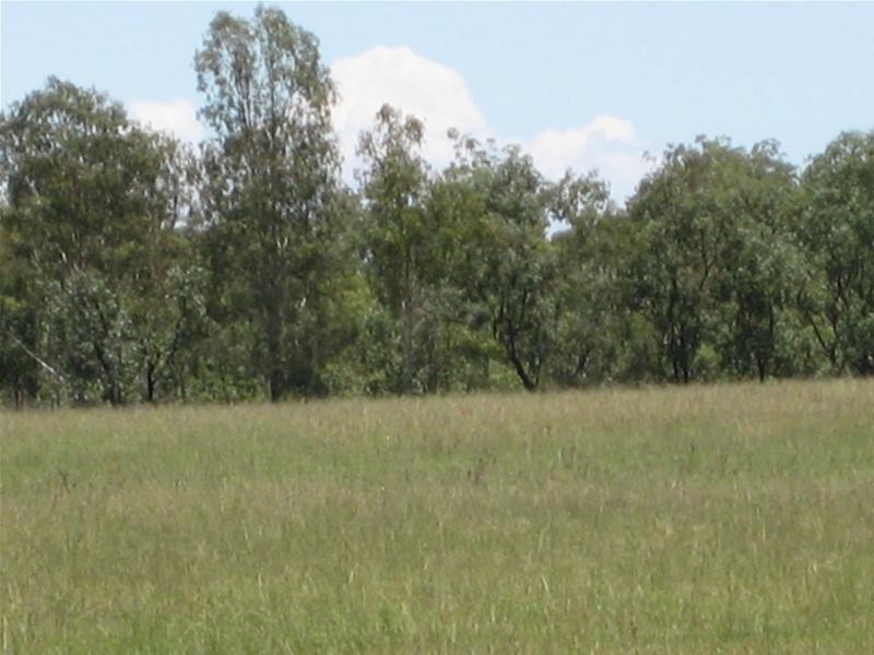 Wallaville QLD 4671