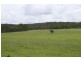 Wallaville QLD 4671