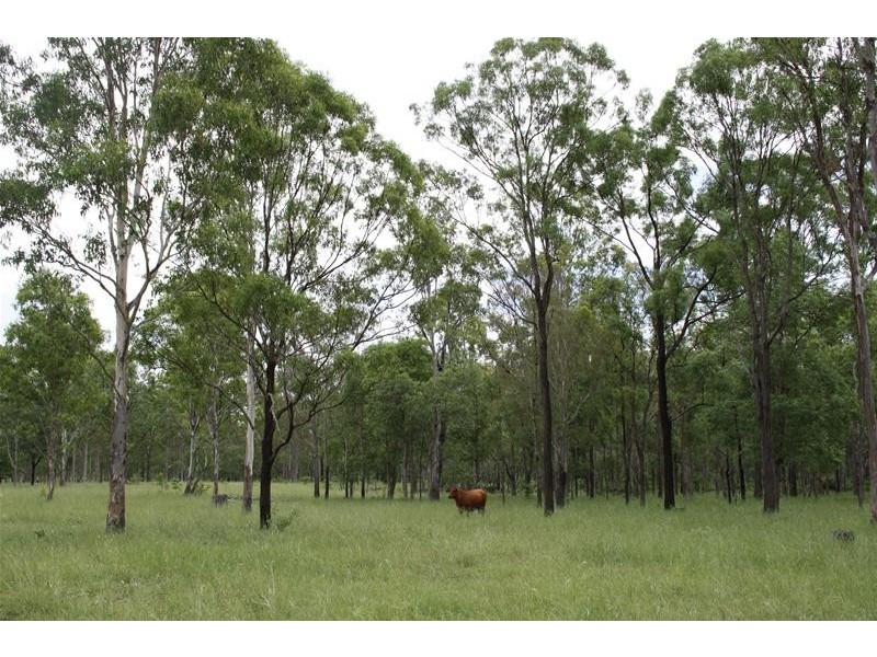 Wallaville QLD 4671