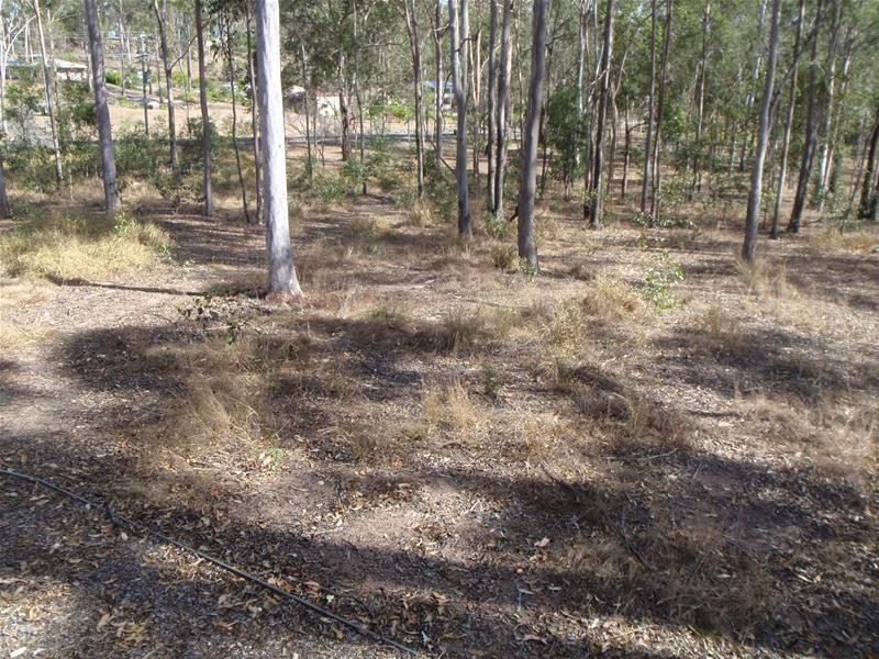 South Bingera QLD 4670