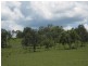 Wallaville QLD 4671