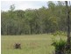 Wallaville QLD 4671
