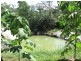 Lowmead QLD 4676