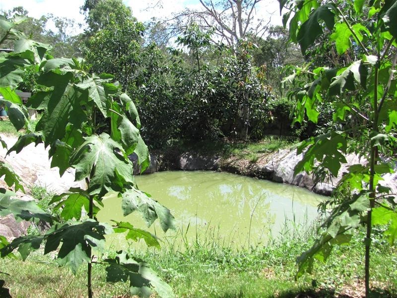 Lowmead QLD 4676