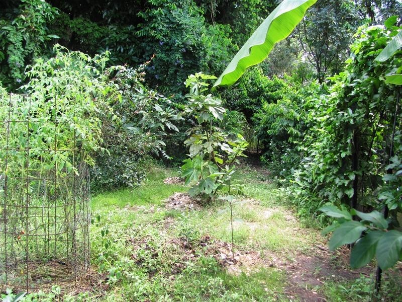 Lowmead QLD 4676