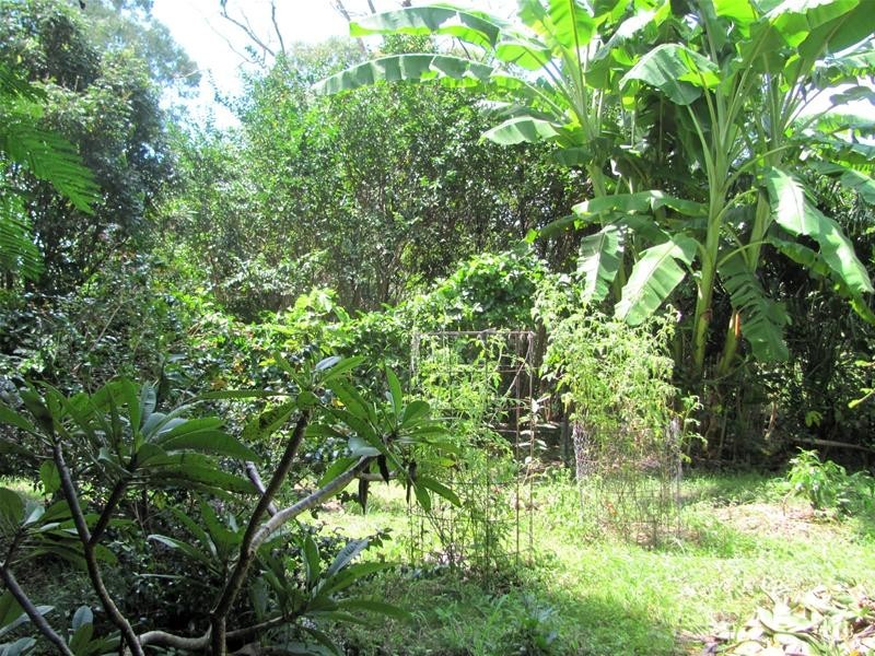 Lowmead QLD 4676